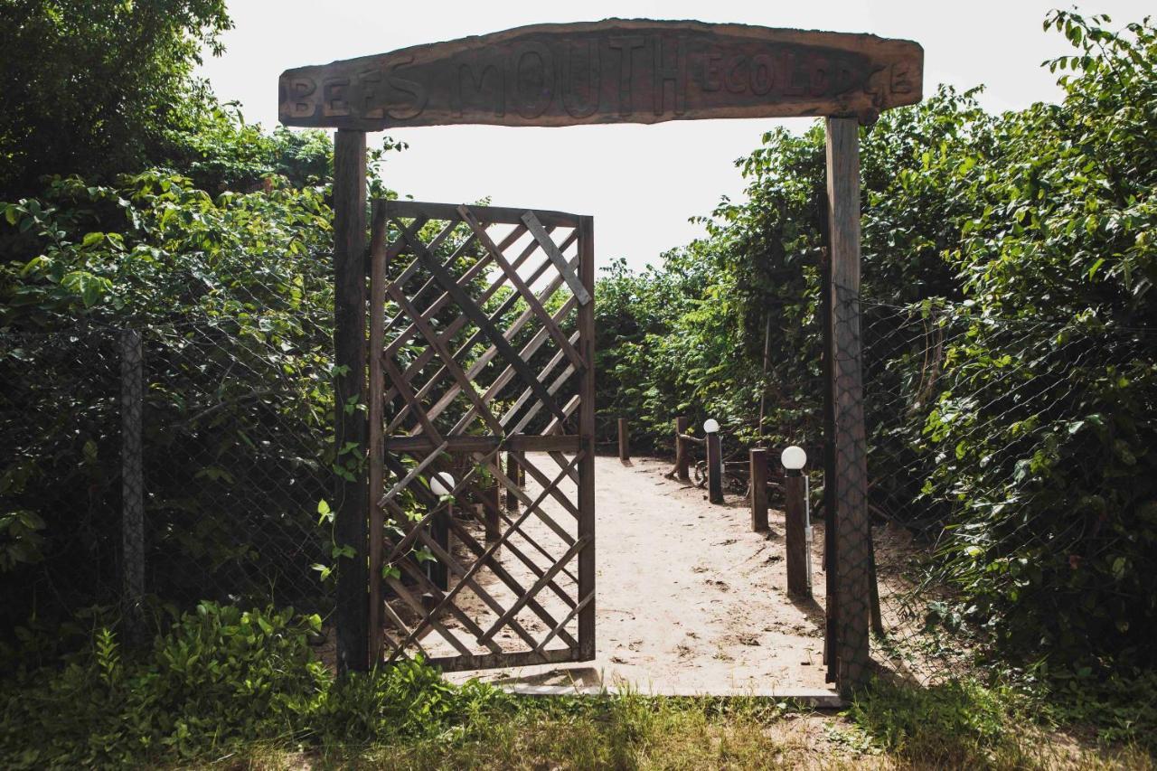 Bees Mouth Gambia Hotel Sanyang Exterior foto